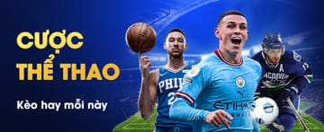 Apostas esportivas 79bet - Cobertura completa